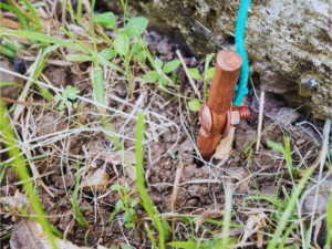 ground rod/wire installed in Houston soil outside home